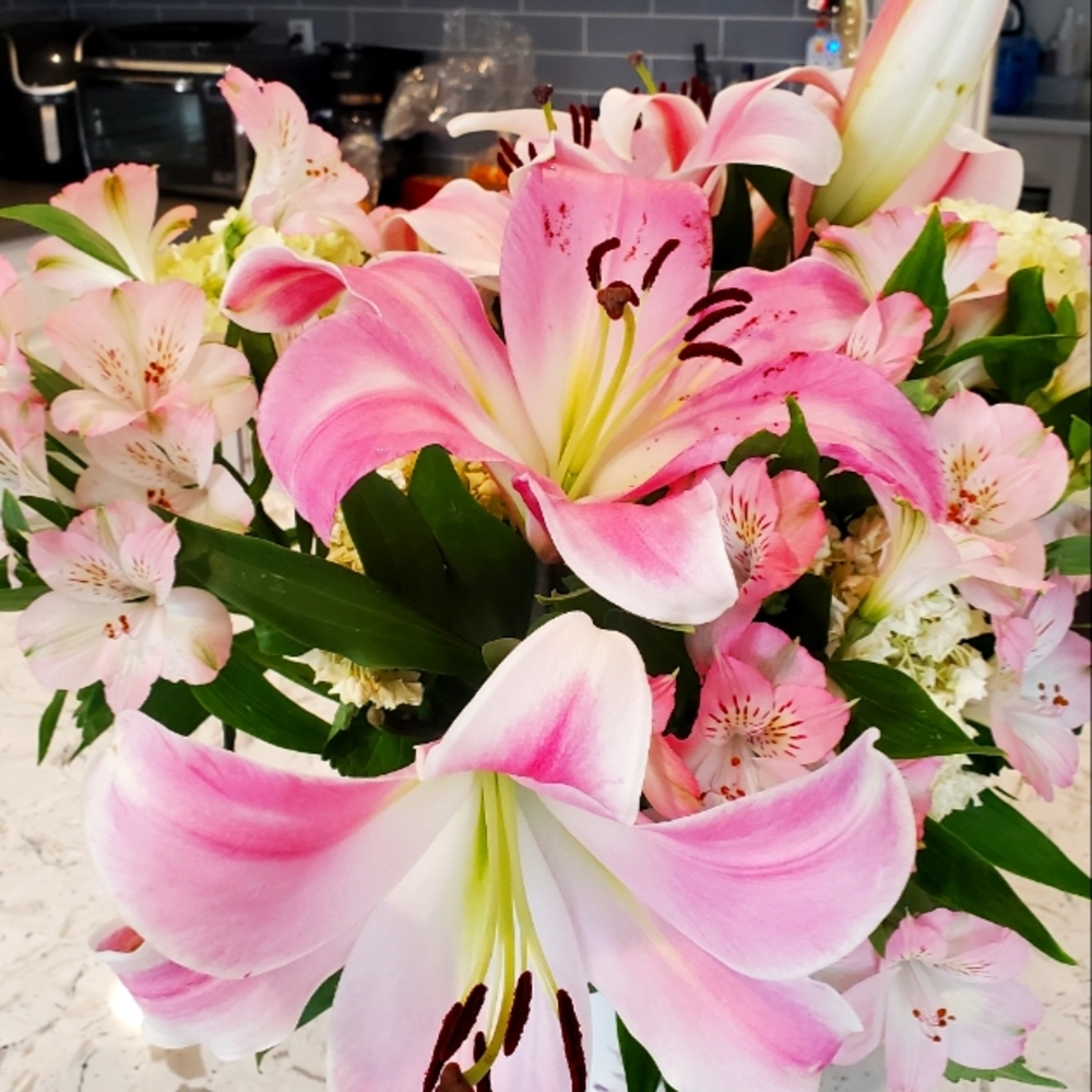 Meet your Posher, Tish